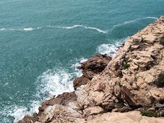 -广东惠东海龟国家级自然保护区