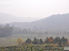 -塔川景区
