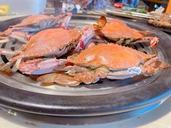 -蓝珊甄选海鲜自助·火锅大排档(近阿那亚店)