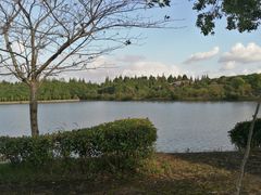 -上海海湾国家森林公园