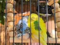 -一品烧农庄·佛山本地特色菜