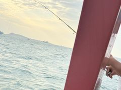 -小猫钓鱼海钓俱乐部(椰梦长廊店)