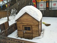 -北京鹿世界主题园