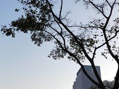 -青岛西海岸隆和福朋喜来登酒店