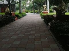-南宁南湖公园