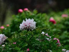 -幕燕滨江·长江观音景区