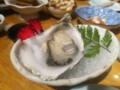 -渔藤(万柳东路店)