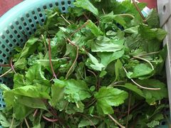 -田海鹰猪血汤(平东一街店)