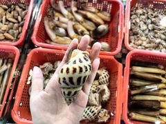 -顺德了能馆(虎门店)