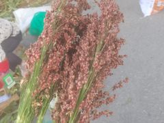 -渔家灯火娱乐城(前进西路店)