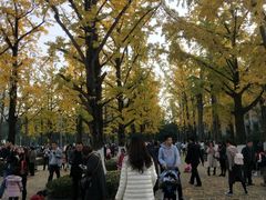 -百林公园-两江幸福广场