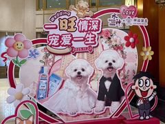 -上海神旺大酒店