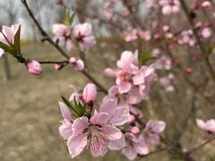 -天津东丽湖风景区
