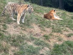 -大连森林动物园