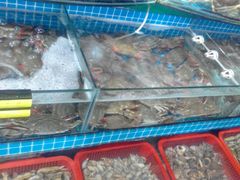 -望海潮海鲜店 特色家常菜(在海一方店)