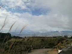 -金鸡山公园