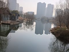 -洋湖国家湿地公园