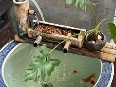 -北京古城老院厉晓麟精致菜