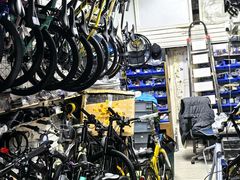 -道路口单车爱瓦士dahon大行