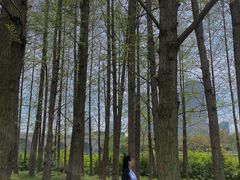 -尚贤河湿地