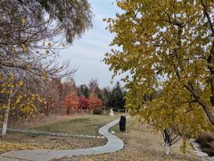 -长春世界雕塑园冰雪艺术天地