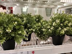 -宜家家居(哈尔滨商场店)