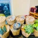 贴贴秋膘｜下饭神菜湘菜上场[调皮]