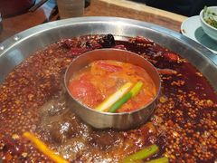 -孙毛肚火锅(春熙路店)