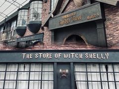 -雪灵魔法世界SHELLY’S TAROT(大良桂畔里店)