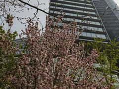 -大班家政月嫂育儿嫂(总部店)