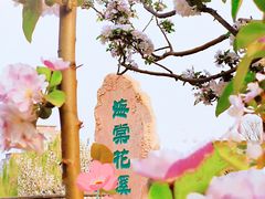 -海棠花溪(元大都城垣遗址公园)