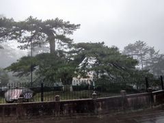 -九华山聚龙大酒店