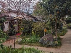 -映月潭温泉