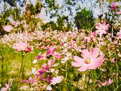 -回龙观体育文化公园