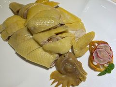 白切本地鸡-广东道至正餐厅(区庄店)
