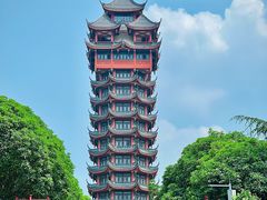 -塔子山公园