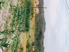 -红山村