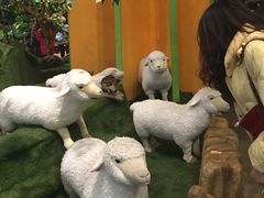 -济州岛泰迪熊博物馆