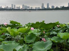 -岗子村(地铁站)