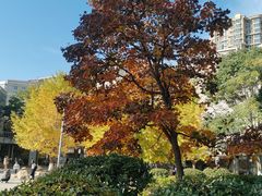 -辽宁大学(崇山校区)