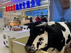 -红星前进面包牛奶公司(君太店)