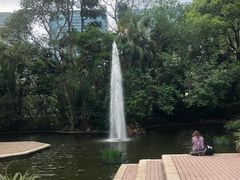 -九龙公园