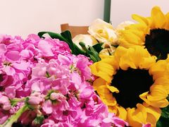 -秦美花卉(天朗·莱茵小城2期店)
