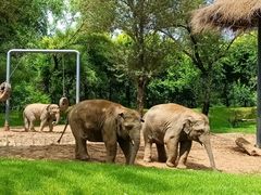 -北京野生动物园