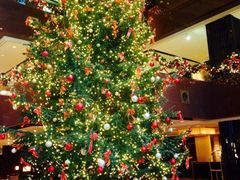 iphone_upload_pic-王府半岛酒店