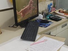 -佳雯宠物医院(四明中路分院)