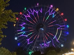 -特克斯八卦城