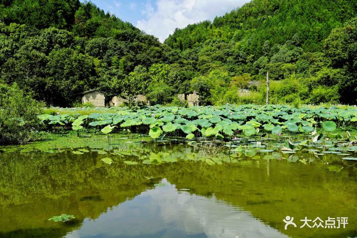 雲和湖仙宮景區圖片 - 第22張