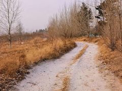 -红山国家森林公园