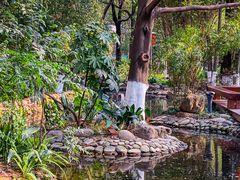 -成都市活水公园